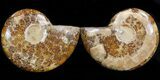 Polished Ammonite Pair - Agatized #41180-1